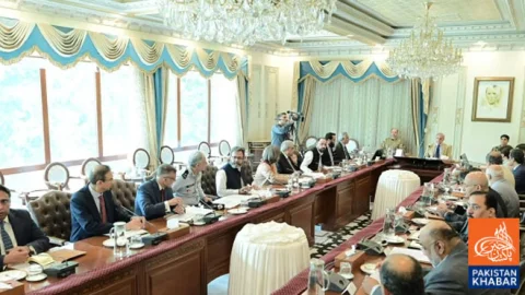 Pakistan to Expand Services for Overseas Citizens