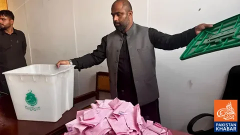 AJK Elections: PML-N Takes Lead with Victory on 14 Seats