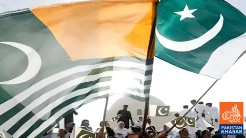 Kashmiris Worldwide Observe Exploitation Day Today