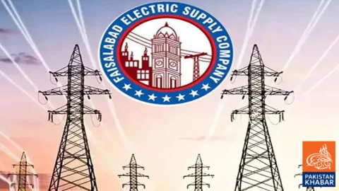 12 Local, Foreign Groups Eye FESCO Privatization