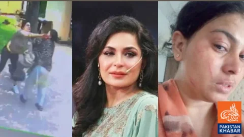 Actress Meera, Maid Fight Video Goes Viral