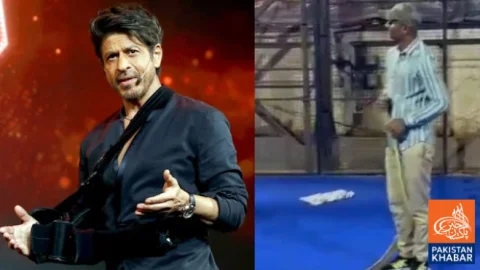 Two Snakes Found at Shah Rukh Khan’s Home Mannat