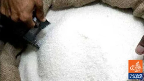 Global Tender Approved for Export of 108,000 Tons of Sugar