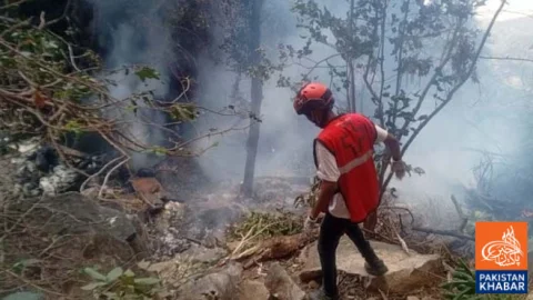 Tourist Helicopter Crashes in Kenya, 7 Killed