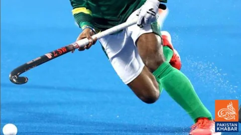 Pakistan Hockey League to Be Held in First Quarter Next Year: PHF