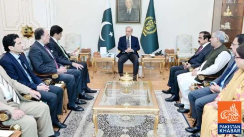 Shehbaz Sharif, Murad Ali Shah Agree to Continue Political Tolerance and Consultation