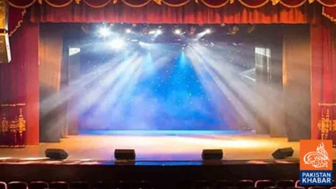 Punjab Bans 8 Stage Actresses for One Month