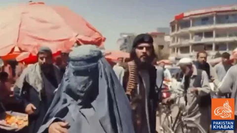 Afghanistan Becomes Hub for Terrorist Networks