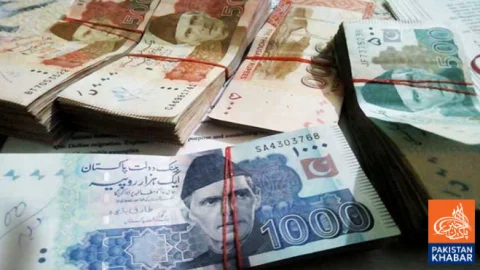 Pakistan’s Early Debt Repayment Nears Rs6 Trillion