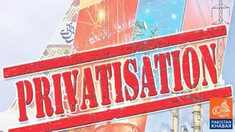 Government’s Five-Year Privatization Plan Fails After Two Years