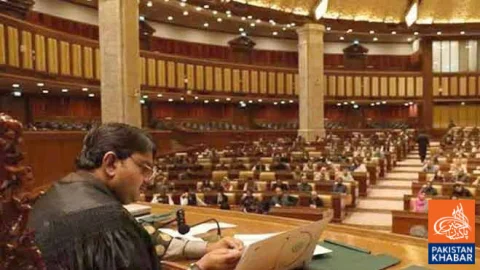 Punjab Assembly Bans Social Media Accounts for Under-16s