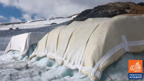 Unique Experiment Using Sheep Wool Launched to Prevent Glacier Melting