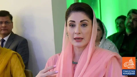 Punjab Crime Drops 70 Percent, Unified Institutions Strengthen Government, Maryam Nawaz