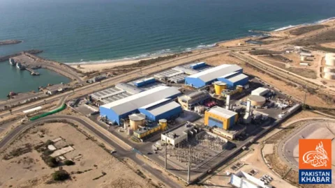 Algae Spread in Israel, Two Desalination Plants Shut Down