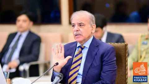 Providing Low-Cost Housing to Low-Income, Middle Classes Is Government Priority: Shehbaz