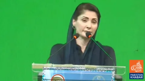 Punjab Never Took Anyone’s Share, Says Maryam Nawaz