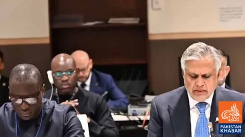 Credible Political Process Essential for Palestinian State: Ishaq Dar