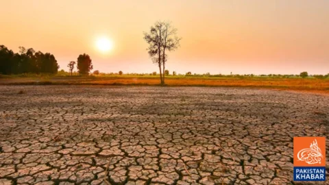 El Niño Heat Could Cause Around 450,000 Additional Deaths