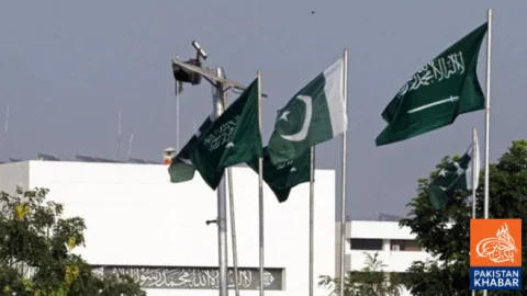 Pakistanis in Saudi Arabia Advised to Stay Away from Political Activities