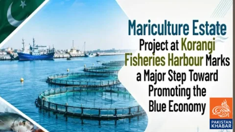 Plan to Establish Mariculture Estate at Korangi Fisheries Harbour
