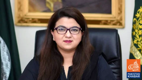 Pakistan’s IT Exports Grow by More Than 20 Percent Annually, Says Shaza Fatima