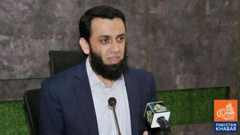 No Preparations Seen for October 4 Protest by PTI: Atta Tarar