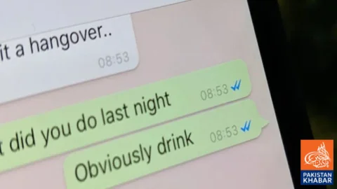 How to Check Within Minutes Whether Your WhatsApp Chats Are Secure