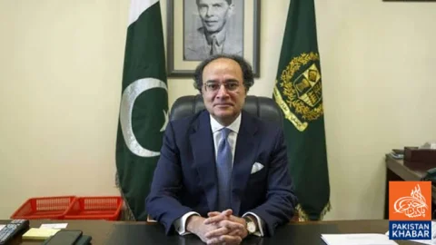 US Companies Interested in Investing in Pakistan, Says Muhammad Aurangzeb