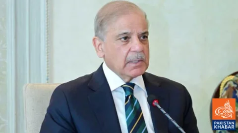Rs2.3 Trillion in Tax Relief, Private Sector Must Lead Economic Growth, PM Says
