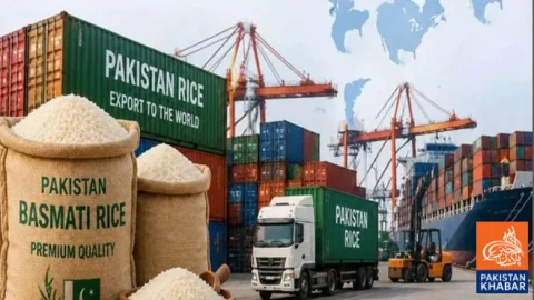 Major Surge in Pakistani Rice Exports to Malaysia
