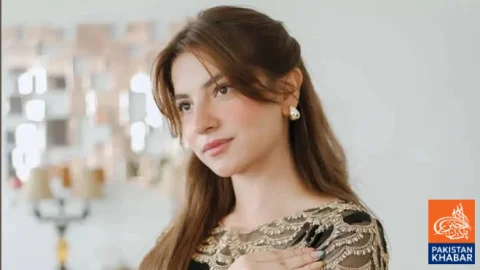 Dananeer Mobeen’s Instagram Activity Sparks Fresh Breakup Speculation