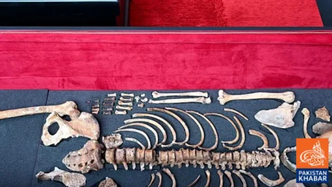 Remains of Bulgarian Ruler Tsar Samuel Return Home After Nearly 60 Years