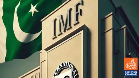 IMF Urges Pakistan to Limit Fuel Subsidies to Deserving Beneficiaries