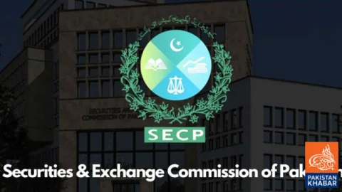 Pakistan Registers 5,241 New Companies in September, Total Reaches 317,000