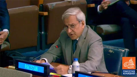 Pakistan Calls for Dialogue on Kashmir and All Outstanding Disputes, Says Tahir Andrabi