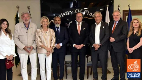 Finance Minister Meets Dutch Business Delegation to Discuss Boosting Investment in Pakistan