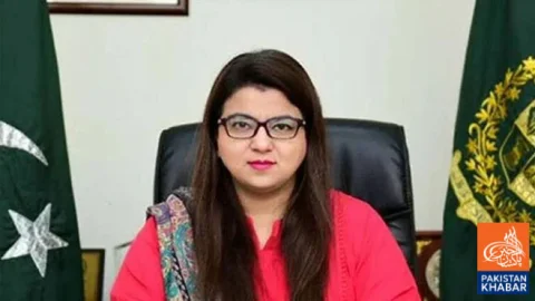 Pakistan to Finalise Satellite Internet Regulatory Framework Soon: Shaza Fatima