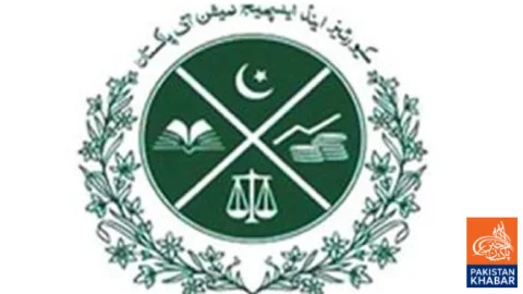 Corporate Intelligence Unit Established to Combat Financial Fraud