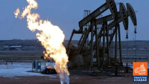 Provincial Quotas in Senior Federal Posts, Oil and Gas Profit-Sharing Recommended