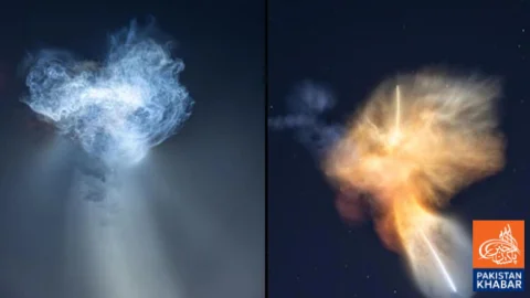 Giant Glowing Jellyfish Appears in Sky After SpaceX Rocket Launch