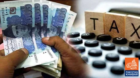 Income Tax Filers in Pakistan Exceed 6.8 Million