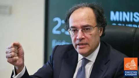 Remittances Expected to Reach $44 Billion as Pakistan Focuses on Trade and Investment
