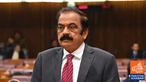 Talks with PTI Can Be Considered If It Plays a Positive Role, Says Rana Sanaullah