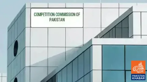 CCP Develops AI System to Detect Collusion in Government Procurement