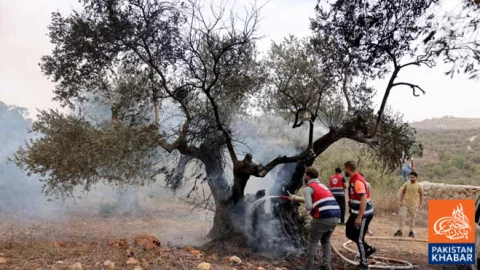 Israeli Settlers Attack in West Bank, Injuring US Journalist and Several Others