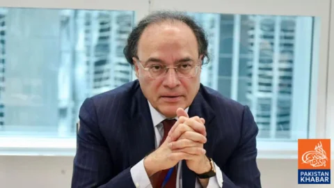 Pakistan Secures Energy Supplies Until November, Says Finance Minister