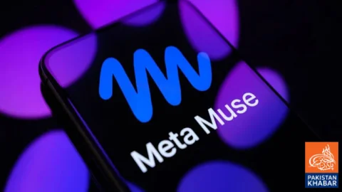 Meta Suspends Muse AI Chat Sharing Over Privacy Concerns