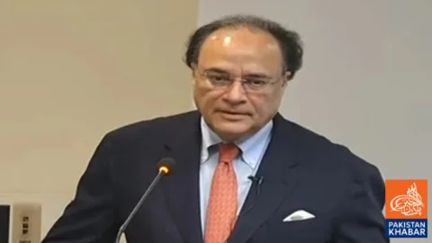 وزیر خزانہ کا اشیائے ضروریہ کی قیمتوں میں اضافے کا خدشہ، توانائی کی فراہمی پر بھی اظہارِ خیال