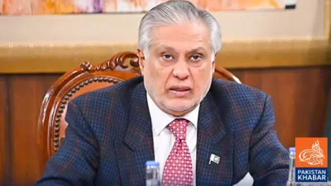 پاکستان ہر عالمی فورم پر کشمیریوں کی آواز بلند کرتا رہے گا، اسحاق ڈار