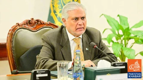 برآمدات بڑھانے کیلئے جی ایس پی پلس سے بھرپور فائدہ اٹھایا جائے: اسحاق ڈار